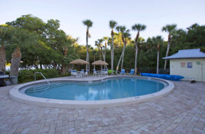 pool with umbrellas and chairs