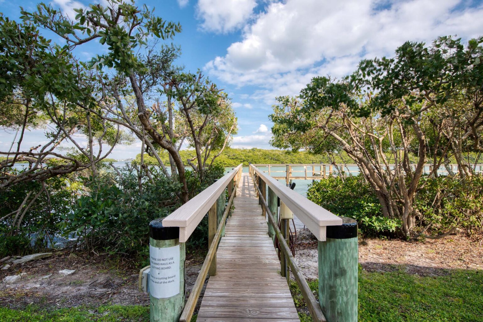 boardwalk bridge leading to intracoastal