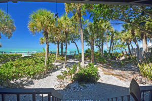 backyard with palm trees and path to the beach