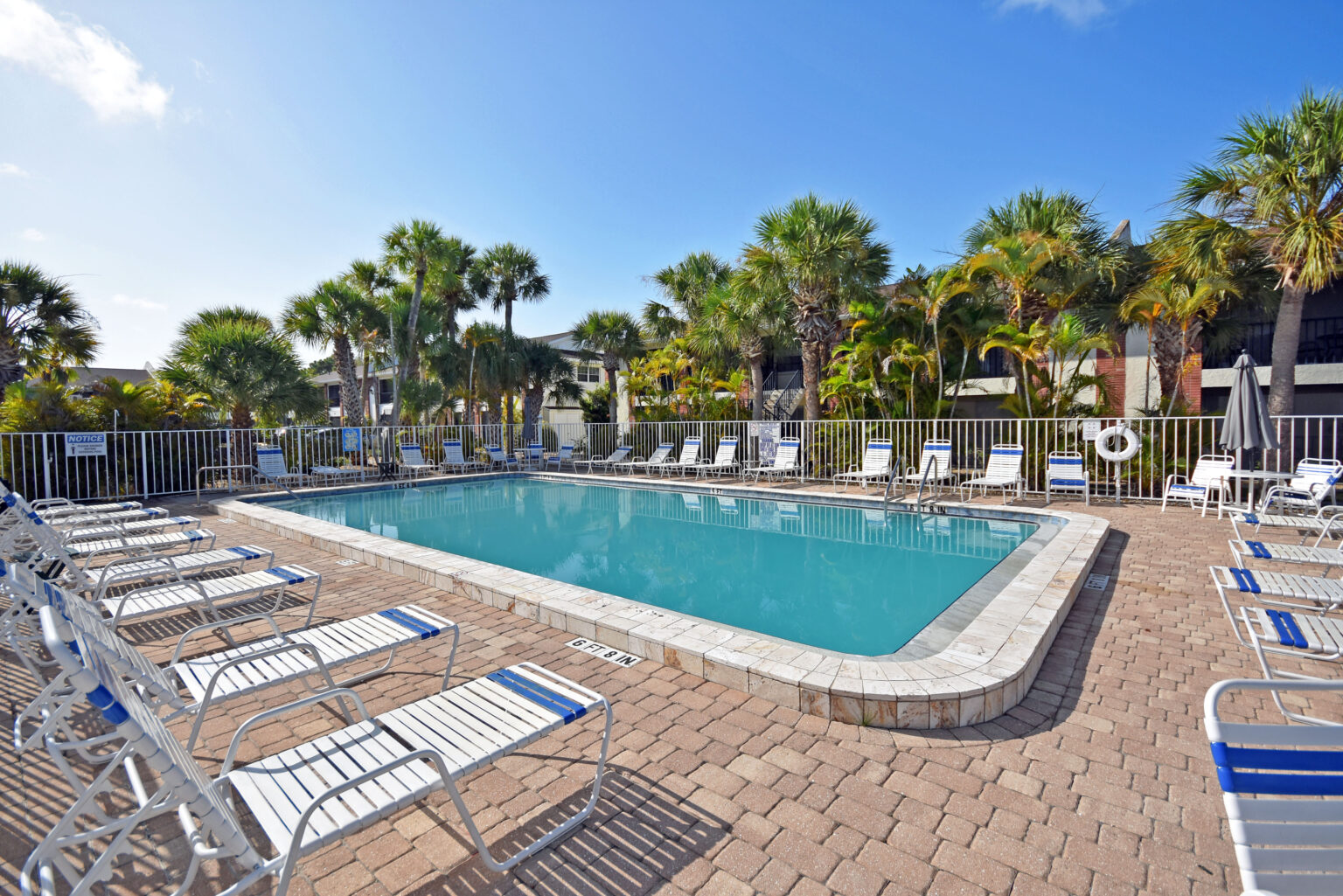 pool with recliners around it